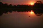 Pantanal Sunset