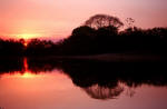 Pantanal Sunset