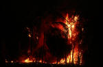 Bushfire at night
