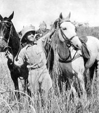 Hermione, Lt. Gray and Granite